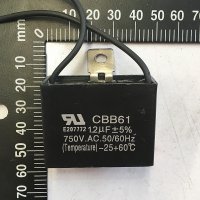 CP034